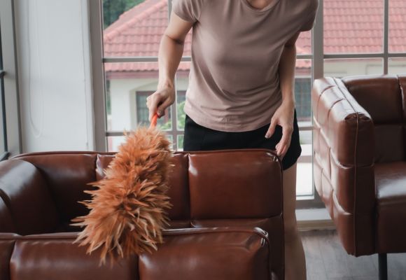 dusting a couch